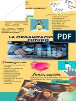 Infografia de La Organizacion