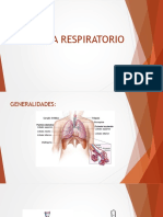 Fisiología Respiración