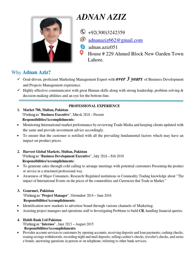 Adnan Aziz Professional CV PDF | PDF | Business | Market (Economics)