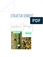 Anatomi Fisiologi Tumbuhan 