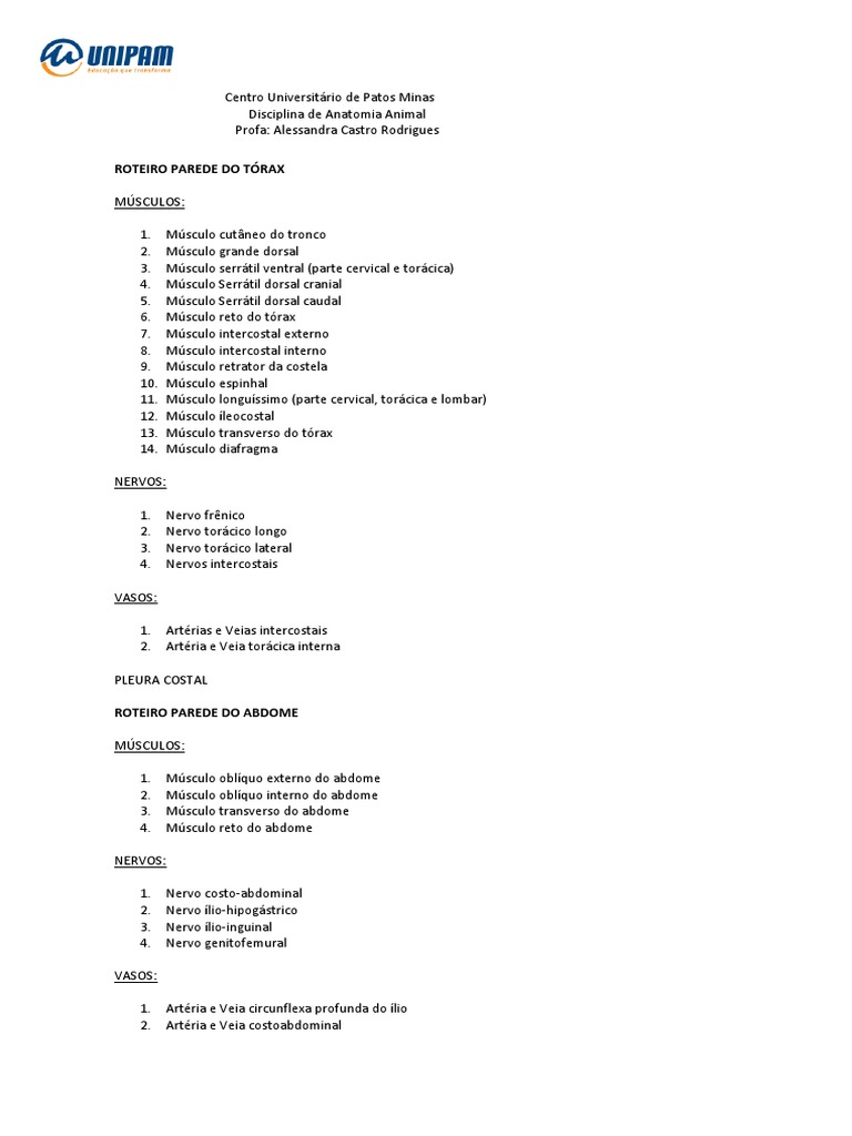 Tórax E Abdome Pdf Pdf