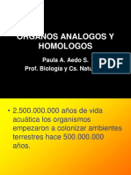 Organos Analogos y Homologos