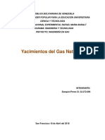 Yacimientos de Gas Natural 