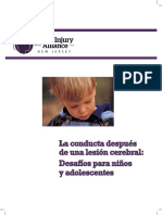 Behavior After Brain Injury Spanish