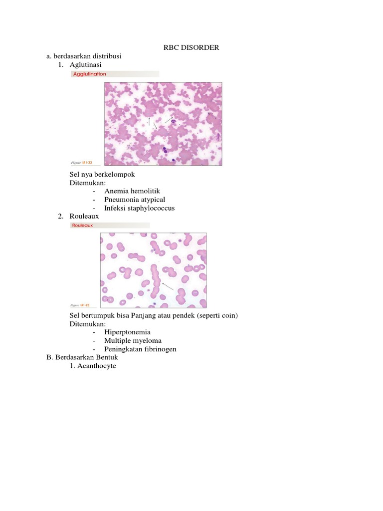 RBC Disorder | PDF