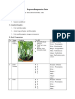 Laporan Pengamatan Paku