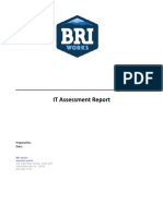 BRI_Works_IT_Assessment_Report_Sample.pdf