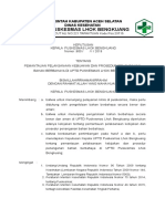 387216903 SK Pemantauan Pelaksanaan Kebijakan Dan Prosedur Penanganan Bahan Berbahaya