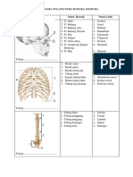 Nama-Nama Tulang - Ujian Lisan Biologi PDF