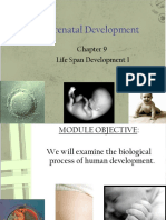 prenatal development