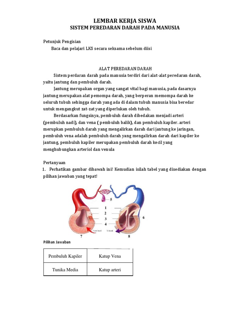 Lembar Kerja Siswa Jantung