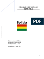 Bolivia Informe