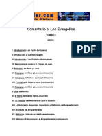 Los Evangelios Tomo I.pdf