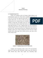 Bab Ii PDF