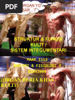 Download STRUKTUR  FUNGSI KULIT by Papa King SN43735107 doc pdf