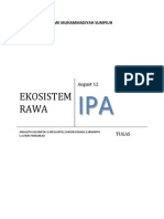 Ekosistem Rawa