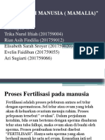 PPT_Kel_4_fertilisasi_manusia.pptx