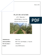 Plan de Afacere 