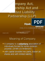 Company Partnership and LLP Ver 2.0