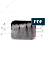 gambar radiografi gigi.docx