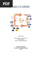Download SIKLUS KREBS by Andre SN43736813 doc pdf