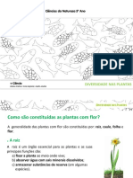 diversidade_plantas.ppt