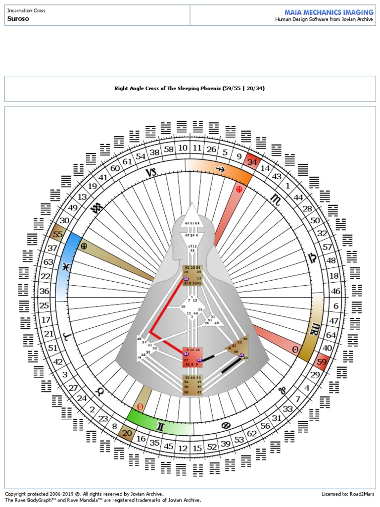 Sample Chart MMI Human Design | PDF | Civil Law (Common Law) | Natural ...