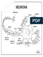 Neurona para Imprimir PDF