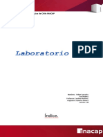 Informe Lab 2 Quimica Minera