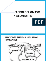 CLASE 14 Impactacion Omaso y Abomasitis