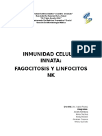 Inmunidad Celular Innata B1
