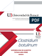Clostridium Botulinum