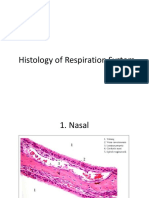 Histology of Respiration System.pptx