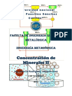 GUIA DE CONCENTRACION DE MINERALES II-A.pdf
