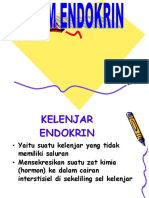 Slide Anfisman Endokrin