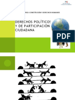 derecho a la participacion ciudadana