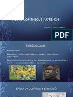 Australopithecus Afarensis: El Ancestro Humano de 3.9 a 3 Millones de Años