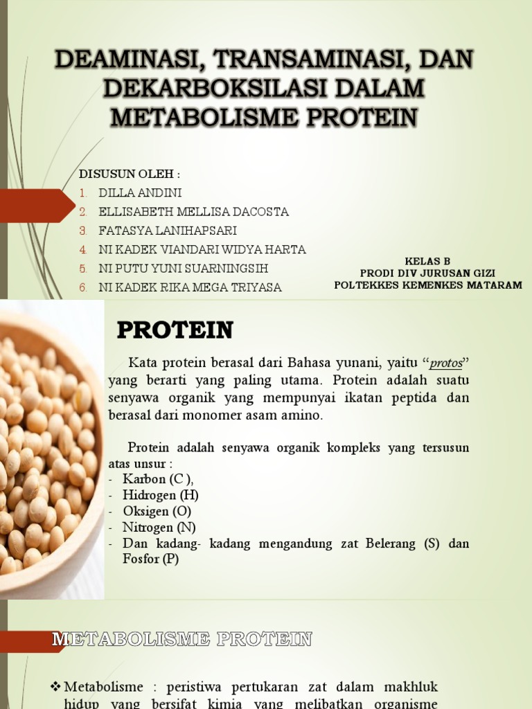 Deaminasi Transaminasi Dan Dekarboksilasi Dalam Metabolisme