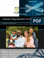 Cellular Reproduction & Genetics