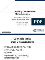 Produccion y Desarrollo de Cannabinoides