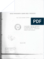 1971 Machado Mercados metropolitanos de trabalho e marginalidade.pdf