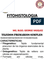 Fitohistología de tejidos vegetales primarios