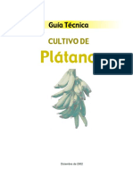 Platano.pdf