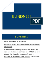 Blindness 130303005645 Phpapp01