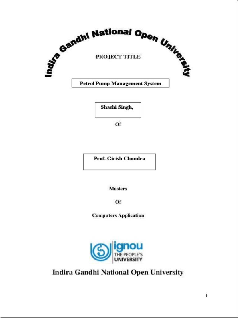 Petrol Pump Management System Project Report PDF Graphical User