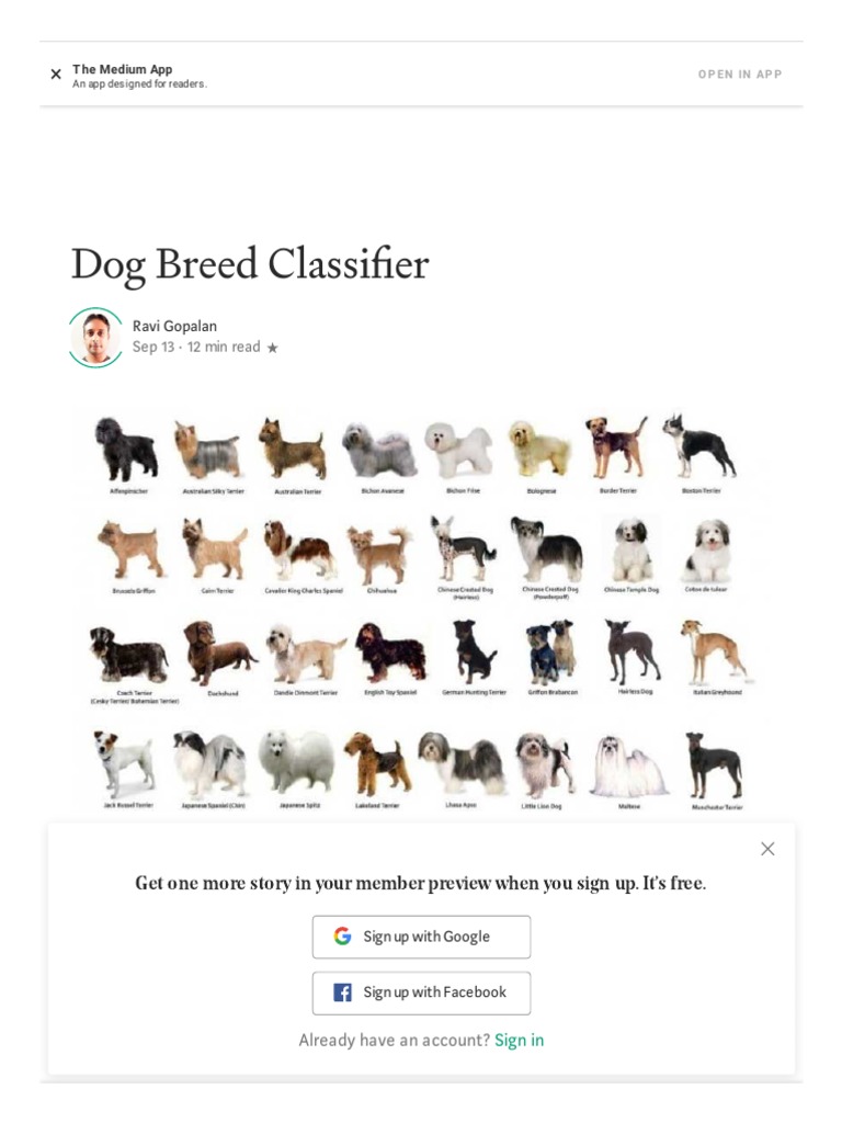 Dog Breed Classifier - The Startup - Medium | PDF | Computational ...
