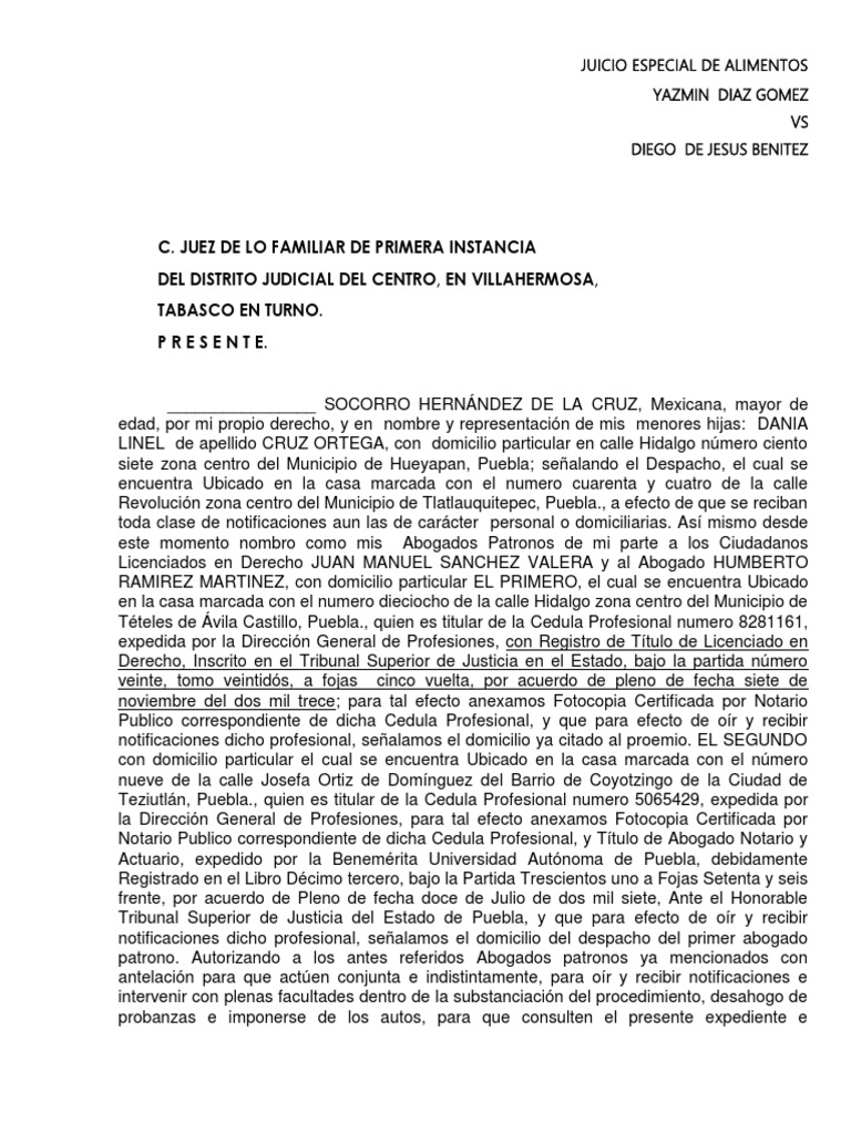 Juicio Especial de Alimentos Aracely | PDF | Pensión alimenticia