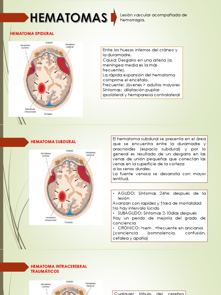 Guía de Hematomas y Lesiones Cerebrales | PDF | Cerebro | Anatomía humana