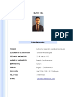 Hoja de Vida Alejandro González Hernández PDF