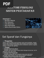Anatomi Fisiologi Sistem Pesyarafan